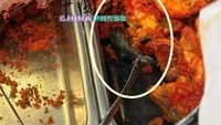 Ada Tikus Goreng Nyelip Bareng Ayam, Belasan Kios di Pujasera Ini Ditutup