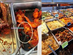 Geger! Tikus Goreng Nyempil bareng Ayam Goreng di Kios Nasi Campur Geger! Tikus Goreng Nyempil bareng Ayam Goreng di Kios Nasi Campur