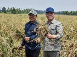 Harga Pupuk Turun, Mardiono Ingatkan Pengawasan agar Tepat Sasaran