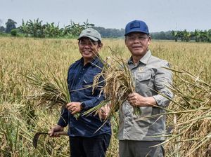 Harga Pupuk Turun, Mardiono Ingatkan Pengawasan agar Tepat Sasaran Harga Pupuk Turun, Mardiono Ingatkan Pengawasan agar Tepat Sasaran