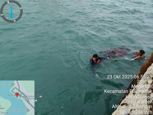 Mayat Pria Tanpa Identitas Ditemukan Mengambang di Pelabuhan Merak Mayat Pria Tanpa Identitas Ditemukan Mengambang di Pelabuhan Merak