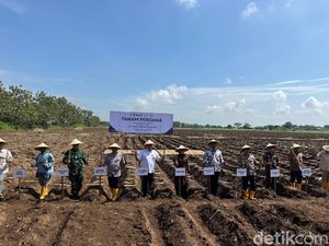 Pemkab Kediri Dukung Program Bongkar Ratoon yang Digagas Kementan Pemkab Kediri Dukung Program Bongkar Ratoon yang Digagas Kementan
