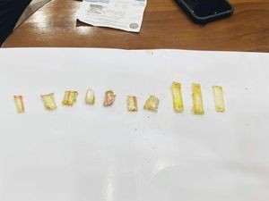 Lapas Narkotika Jakarta Gagalkan Penyelundupan Sabu Dibungkus Ayam Kecap Lapas Narkotika Jakarta Gagalkan Penyelundupan Sabu Dibungkus Ayam Kecap