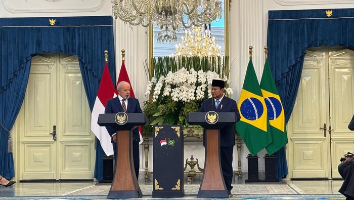 Prabowo, Indonesia & Brasil Sepakat Soal Konflik di Palestina dan Ukraina