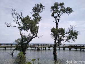Kepulauan Seribu yang Ternyata Tidak Seribu, Bisa Tetap Menarik Asal... Kepulauan Seribu yang Ternyata Tidak Seribu, Bisa Tetap Menarik Asal...