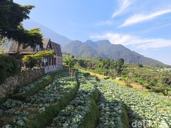BUMDes di Kuningan Didorong Jadi Penyuplai Bahan Baku MBG