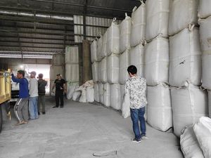 Produksi Gabah Badung Diklaim Normal, Kebutuhan Beras Aman Produksi Gabah Badung Diklaim Normal, Kebutuhan Beras Aman