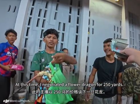 Turis nyaris ketipu saat beli lobster. Lobster Ditukar Diam-Diam, Turis Ini Nyaris Ketipu di Kios Seafood.