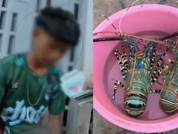 Lobster Ditukar Diam-Diam, Turis Ini Nyaris Ketipu di Kios Seafood