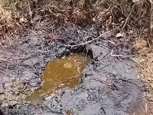 Pertamina Ternyata Pernah Cek Sumber Minyak Di Nganjuk yang Viral Pertamina Ternyata Pernah Cek Sumber Minyak Di Nganjuk yang Viral