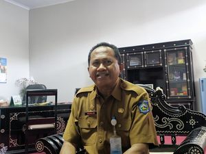Wisatawan Diminta Jaga Jarak Saat Berenang dengan Hiu Paus di Teluk Saleh Wisatawan Diminta Jaga Jarak Saat Berenang dengan Hiu Paus di Teluk Saleh