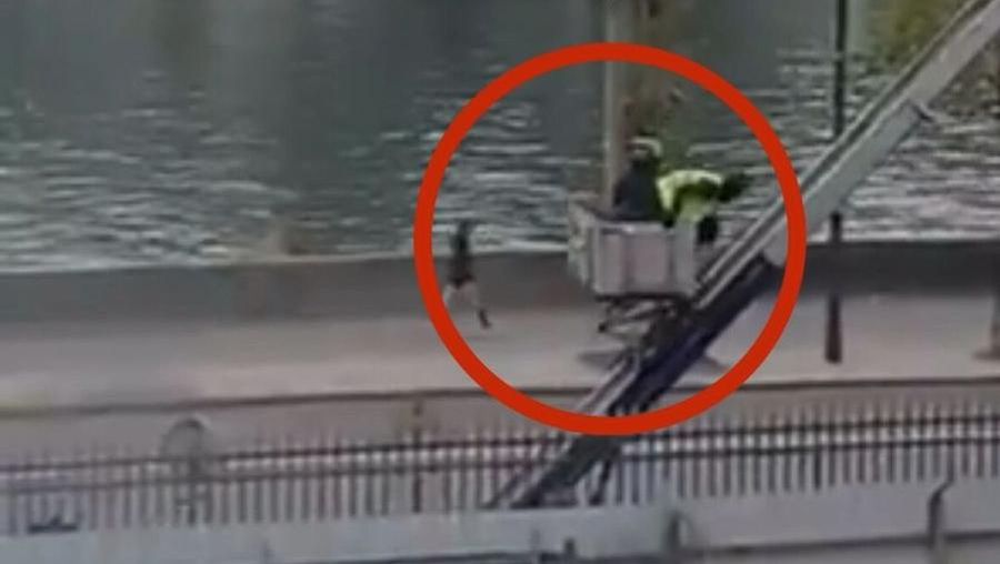 Video: Detik-detik Pencuri Museum Louvre Kabur Pakai Lift Barang Video: Detik-detik Pencuri Museum Louvre Kabur Pakai Lift Barang