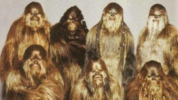 12 Foto Keluarga Paling Absurd, Tapi Malah Jadi Ikonik di Internet