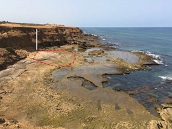 Kisah Jejak Purba dari 90.000 Tahun Lalu, Terawetkan di Pantai Maroko Kisah Jejak Purba dari 90.000 Tahun Lalu, Terawetkan di Pantai Maroko