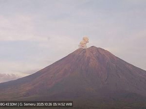 Gunung Semeru Erupsi 2 Kali Pagi Ini, Tinggi Letusan Capai 700 Meter Gunung Semeru Erupsi 2 Kali Pagi Ini, Tinggi Letusan Capai 700 Meter