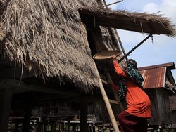 Ampa Fare: Tradisi Menyimpan Pangan Masyarakat Wawo Bima NTB Ampa Fare: Tradisi Menyimpan Pangan Masyarakat Wawo Bima NTB