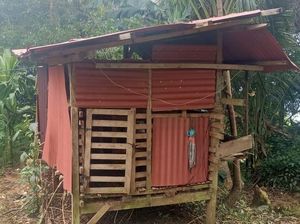 Ternak Warga Tanggamus Diserang Beruang, Polisi Imbau Waspada Ternak Warga Tanggamus Diserang Beruang, Polisi Imbau Waspada