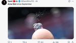 Meme Liverpool Keok Lagi, Padahal Sudah Dibantu Wasit Meme Liverpool Keok Lagi, Padahal Sudah Dibantu Wasit