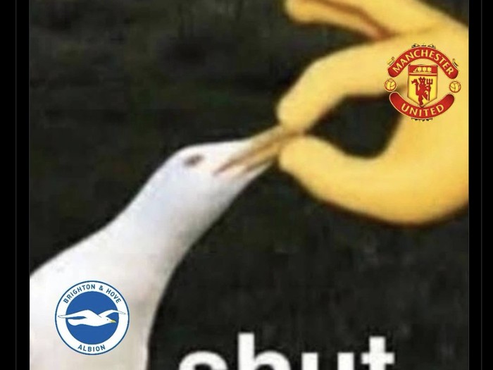 Meme MU Vs Brighton