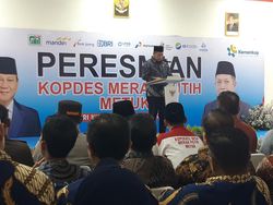 Cerita Menteri Koperasi Tiap Hari Inventarisasi Tanah Desa-Kelurahan