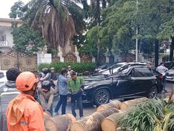 Penjelasan Polisi soal Pengemudi Lexus Tewas Tertimpa Pohon di Pondok Indah