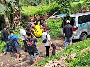 Mandor Proyek Tewas Mengenaskan di Subak Gianyar, Polisi Temukan Gergaji Mandor Proyek Tewas Mengenaskan di Subak Gianyar, Polisi Temukan Gergaji