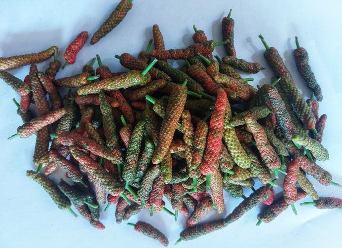 Cabai Jawa Cabai Jawa.