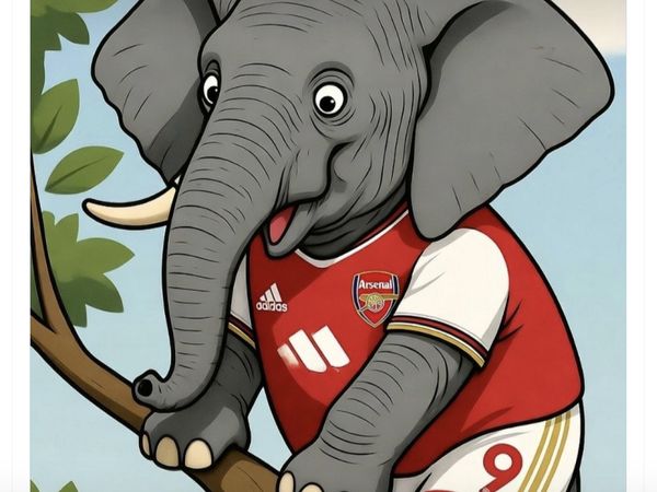 Meme Arsenal Raja Clean Sheet dan Kesepian di Puncak