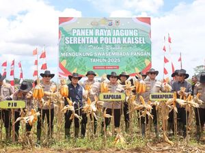 Kapolda Kalsel Pimpin Panen Raya Jagung Serentak Tahun 2025 di Tanah Bumbu