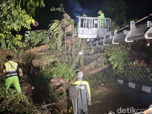 Pohon Beringin Raksasa Tumbang Tutup Jalan Arah Stasiun Bogor Pohon Beringin Raksasa Tumbang Tutup Jalan Arah Stasiun Bogor