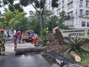 Pohon Tumbang Bikin Lalin di Jalan Surapati Bandung Macet Pohon Tumbang Bikin Lalin di Jalan Surapati Bandung Macet