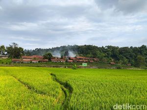 Menyusuri Pesona Objek Wisata Alam Desa Cibuntu Kuningan Menyusuri Pesona Objek Wisata Alam Desa Cibuntu Kuningan