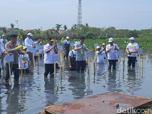 Gibran Tanam Mangrove di Tangerang, Minta Kawasan Pesisir Ditangani Serius Gibran Tanam Mangrove di Tangerang, Minta Kawasan Pesisir Ditangani Serius