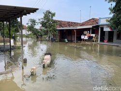 Video Kondisi Terkini Banjir Merendam Permukiman hingga Pemakaman di Pati