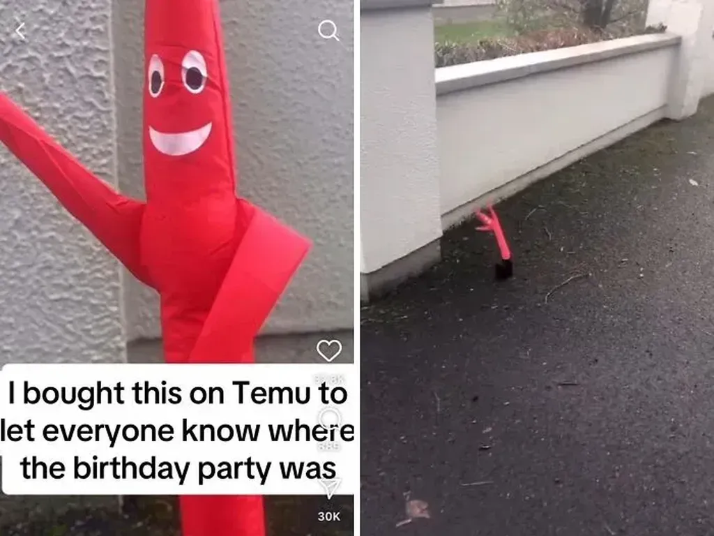 Benda yang Dicheckout vs Aslinya, Kok Jadi Lawak? Benda yang Dicheckout vs Aslinya, Kok Jadi Lawak?