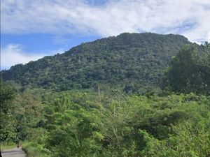 Legenda Bukit Babi Gemuk, Kisah Tiga Anak Yatim dan Keajaiban di Tanah Timor Legenda Bukit Babi Gemuk, Kisah Tiga Anak Yatim dan Keajaiban di Tanah Timor