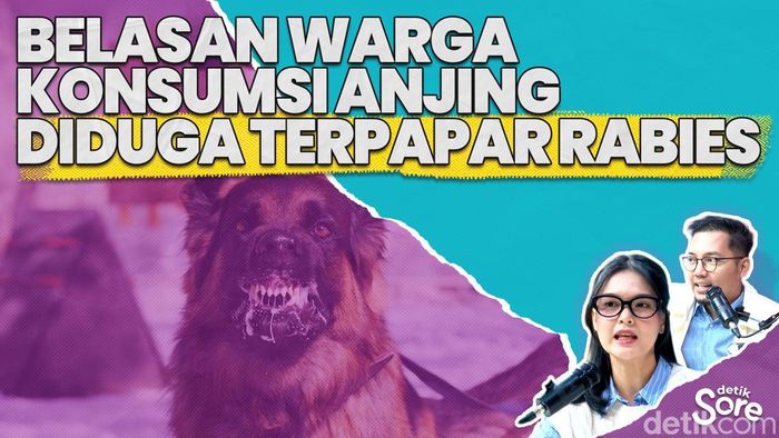 Video: Pemilik Tewas karena Rabies, Daging Anjing Malah Dimakan Warga