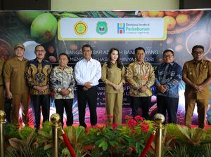 Dorong Komoditas Unggulan, Kementan Dukung Pertanian Kelapa di Maluku Utara Dorong Komoditas Unggulan, Kementan Dukung Pertanian Kelapa di Maluku Utara