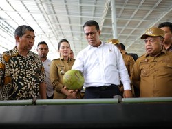Kunker ke Halmahera, Mentan Komitmen Tingkatkan Kesejahteraan Petani Kelapa Kunker ke Halmahera, Mentan Komitmen Tingkatkan Kesejahteraan Petani Kelapa