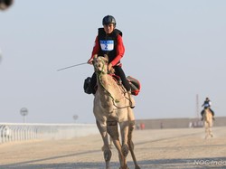 Bangganya Fathih Jadi Atlet Balap Unta Pertama RI yang Tampil di Asia Bangganya Fathih Jadi Atlet Balap Unta Pertama RI yang Tampil di Asia