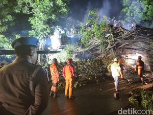 Penanganan Pohon Tumbang di Dekat Stasiun Bogor Diperkirakan Selesai Pagi Ini Penanganan Pohon Tumbang di Dekat Stasiun Bogor Diperkirakan Selesai Pagi Ini