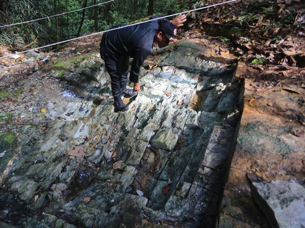 Penemuan 5.000 Ton Batu Giok Siap Percantik Masjid Agung di Aceh Penemuan 5.000 Ton Batu Giok Siap Percantik Masjid Agung di Aceh