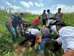 Bocah Perempuan di Merauke Ditemukan Tewas Usai Hilang, Diduga Diperkosa Bocah Perempuan di Merauke Ditemukan Tewas Usai Hilang, Diduga Diperkosa
