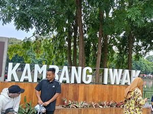 Pesona Kambang Iwak Palembang, Dulu Tempat Bermain Anak-anak Belanda Pesona Kambang Iwak Palembang, Dulu Tempat Bermain Anak-anak Belanda