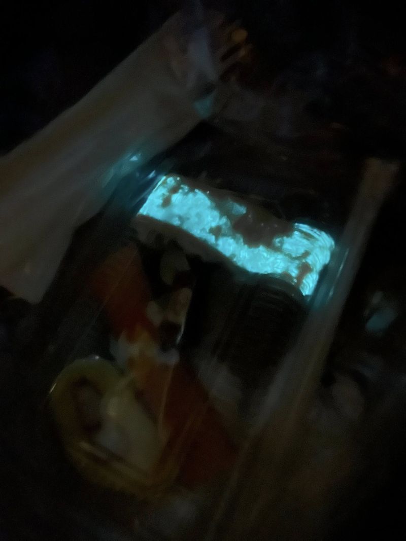 Viral Sushi 'Glow in the Dark' di Thailand, Ternyata Ini Penyebabnya Sushi 'Glow in the Dark' di Thailand