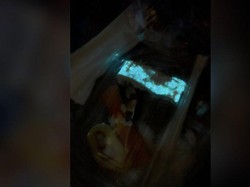 Viral Sushi Glow in the Dark di Thailand, Ternyata Ini Penyebabnya Viral Sushi Glow in the Dark di Thailand, Ternyata Ini Penyebabnya