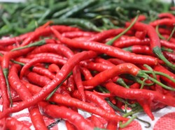 Harga Sembako Jogja Hari Ini 29 Oktober 2025: Cabai Merah Keriting Sepedas Ini Harga Sembako Jogja Hari Ini 29 Oktober 2025: Cabai Merah Keriting Sepedas Ini