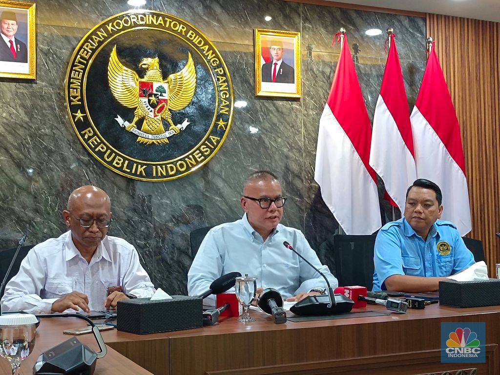 Ketua Satuan Tugas (Satgas) Penanganan Kontaminasi Cesium-137, Bara Krishna Hasibuan saat konferensi pers di kantor Kemenko Pangan, Jakarta, Rabu (29/10/2025). (CNBC Indonesia/Martyasari Rizky)