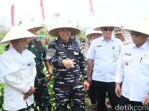 Banyuwangi Sukses Tanam Kedelai Garuda Merah Putih, Siap Diperluas Banyuwangi Sukses Tanam Kedelai Garuda Merah Putih, Siap Diperluas