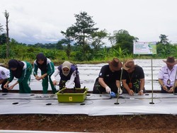 Pemkab Jepara Dorong Ketahanan Pangan Lewat Program Je.Farming